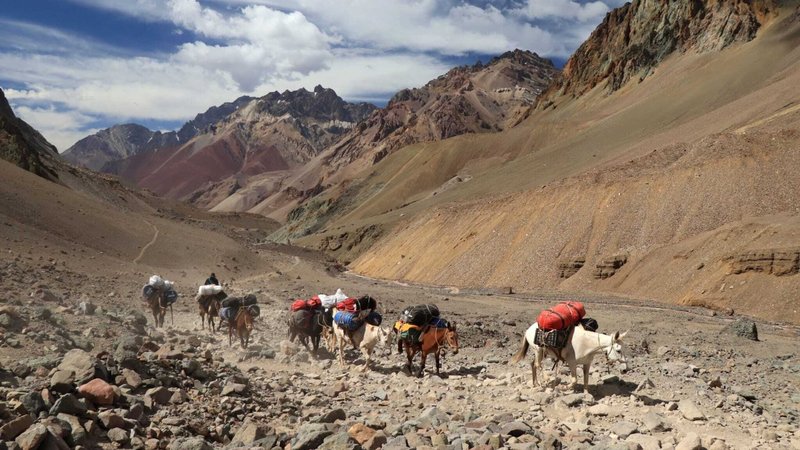 Aconcagua 2024